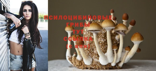 гашик Алексин