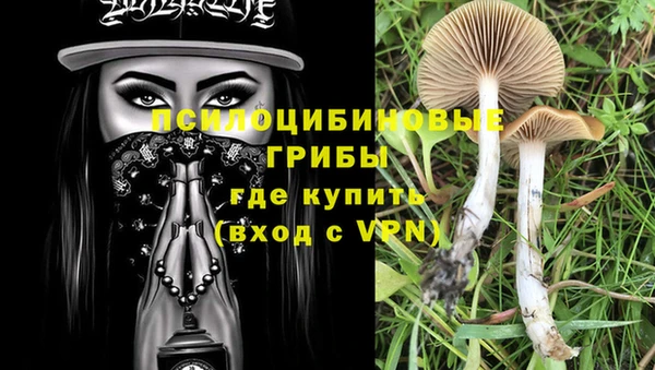 скорость Алексеевка