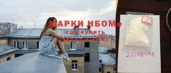 гашик Алексин