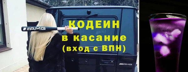 гашик Алексин