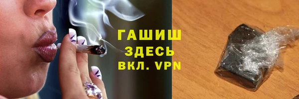гашик Алексин