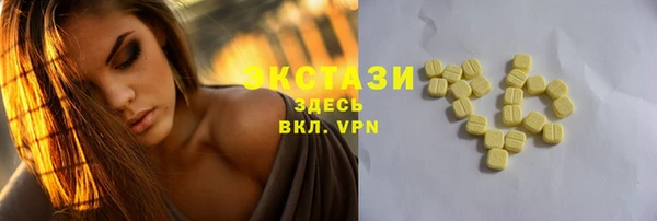 гашик Алексин