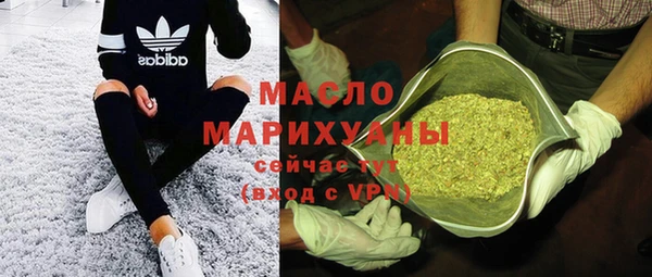 гашик Алексин
