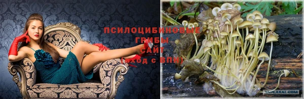 скорость Алексеевка