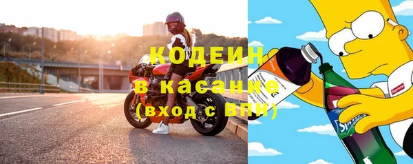 гашик Алексин