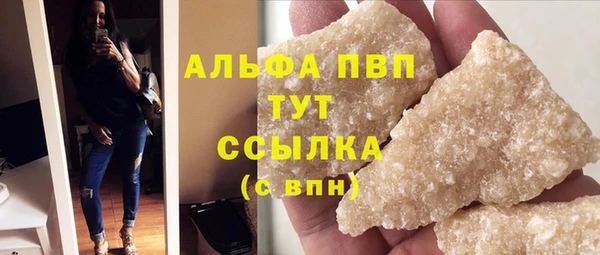 гашик Алексин