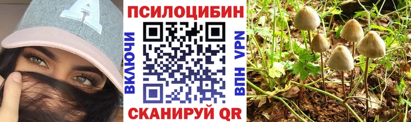 Псилоцибиновые грибы Psilocybe Малаховка