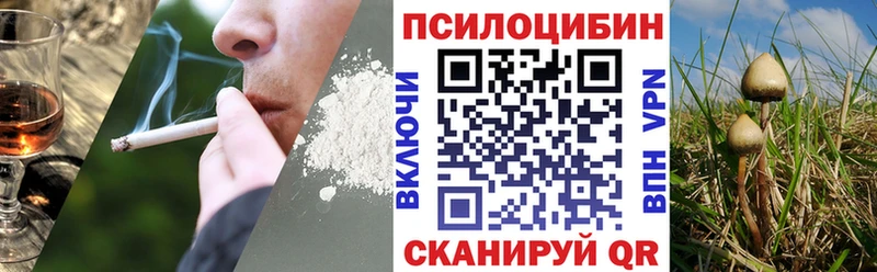 omg ССЫЛКА  Малаховка  Галлюциногенные грибы MAGIC MUSHROOMS 