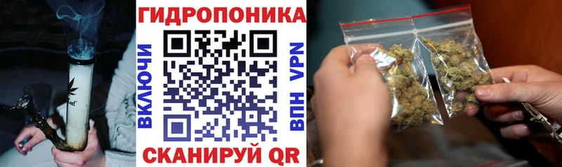 Бошки Шишки гибрид kraken зеркало Малаховка где продают